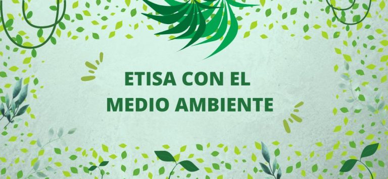 Lee más sobre el artículo ETISA con el medio ambiente